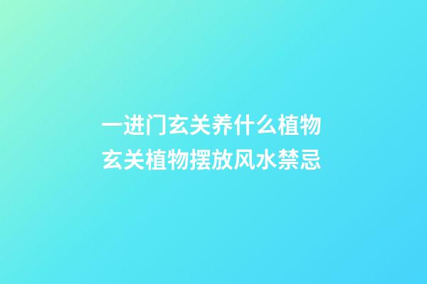 一进门玄关养什么植物 玄关植物摆放风水禁忌